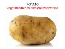 POTATO vegetable/french fries/eat/mash/chips