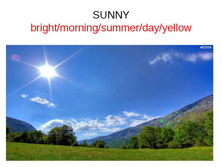 SUNNY bright/morning/summer/day/yellow