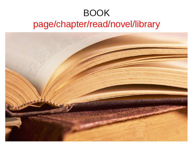 BOOK page/chapter/read/novel/library