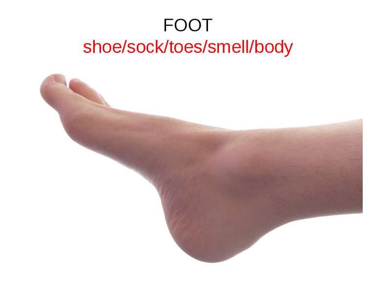 FOOT shoe/sock/toes/smell/body
