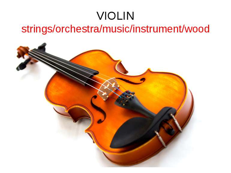 VIOLIN strings/orchestra/music/instrument/wood
