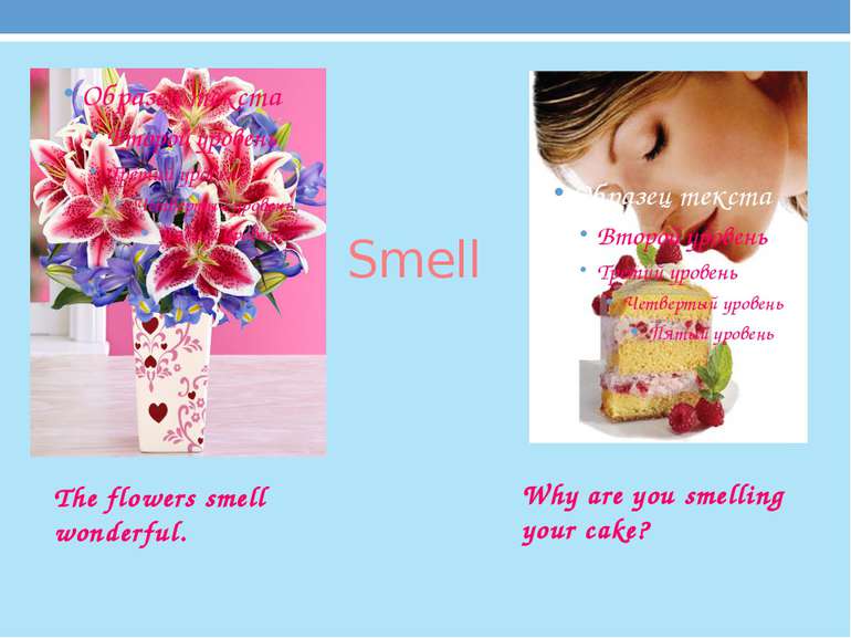 Smell The flowers smell wonderful. Why are you smelling your cake?