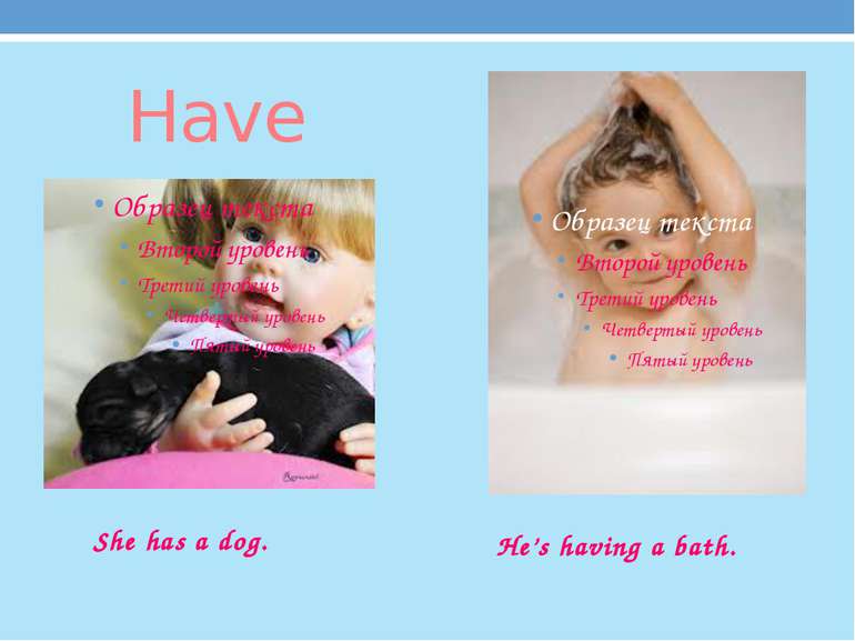 Have She has a dog. He’s having a bath.