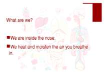 What are we? We are inside the nose. We heat and moisten the air you breathe in.