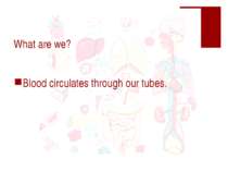 What are we? Blood circulates through our tubes.