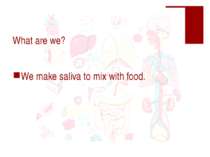 What are we? We make saliva to mix with food.