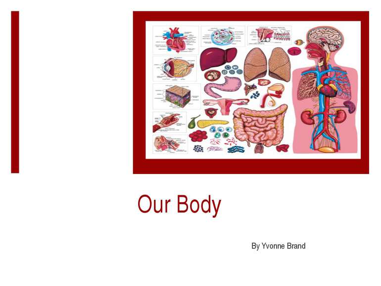 Our Body By Yvonne Brand