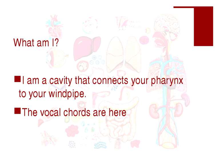 What am I? I am a cavity that connects your pharynx to your windpipe. The voc...
