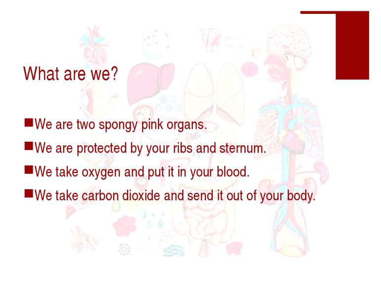 What are we? We are two spongy pink organs. We are protected by your ribs and...