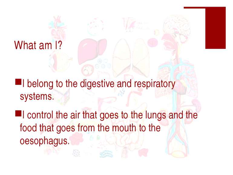 What am I? I belong to the digestive and respiratory systems. I control the a...
