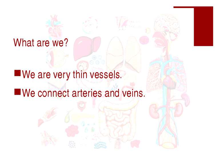 What are we? We are very thin vessels. We connect arteries and veins.