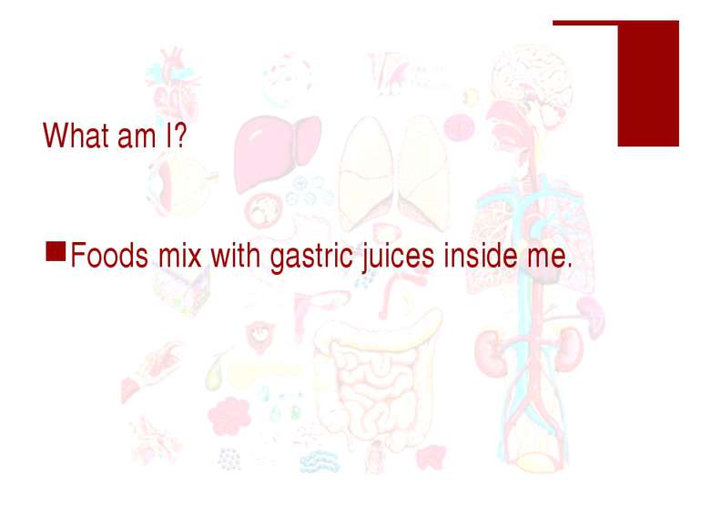 What am I? Foods mix with gastric juices inside me.