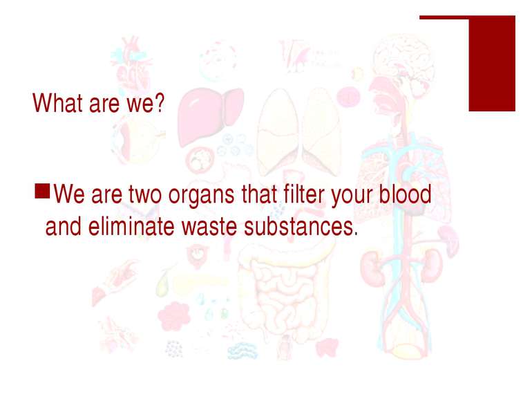 What are we? We are two organs that filter your blood and eliminate waste sub...