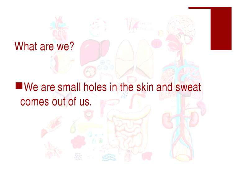 What are we? We are small holes in the skin and sweat comes out of us.