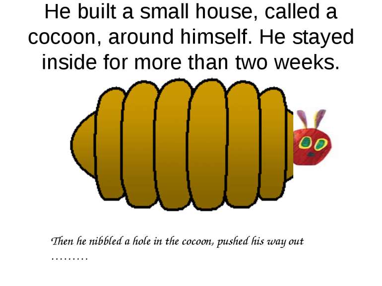He built a small house, called a cocoon, around himself. He stayed inside for...