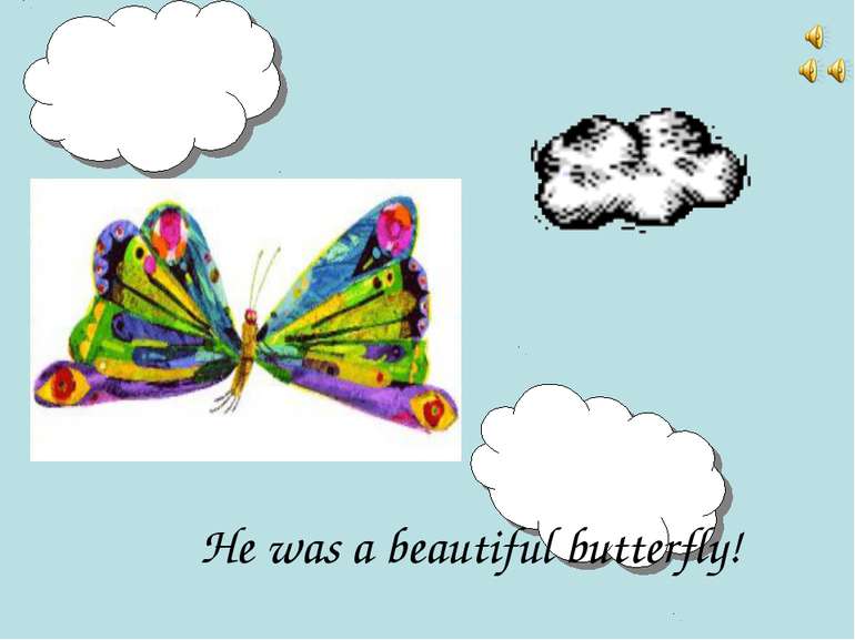 He was a beautiful butterfly!
