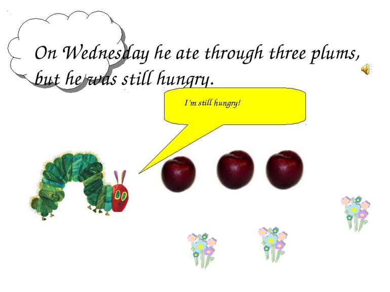 On Wednesday he ate through three plums, but he was still hungry. I’m still h...