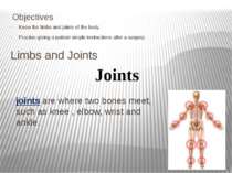 Know the limbs and joints of the body. Practise giving a patient simple instr...