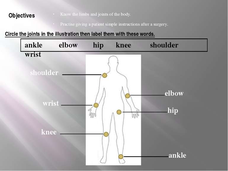Circle the joints in the illustration then label them with these words. Know ...