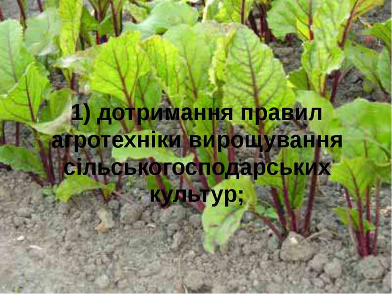 1) дотримання правил агротехніки вирощування сільськогосподарських культур;