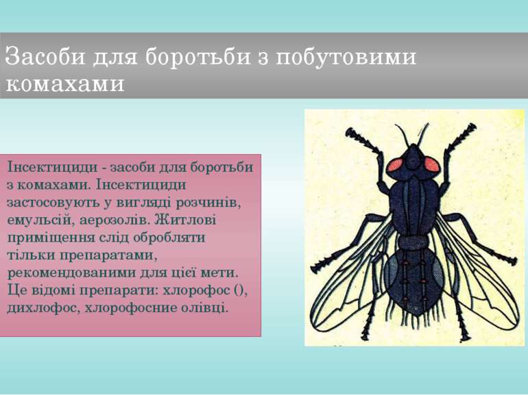 Засоби для боротьби з побутовими комахами Інсектициди - засоби для боротьби з...
