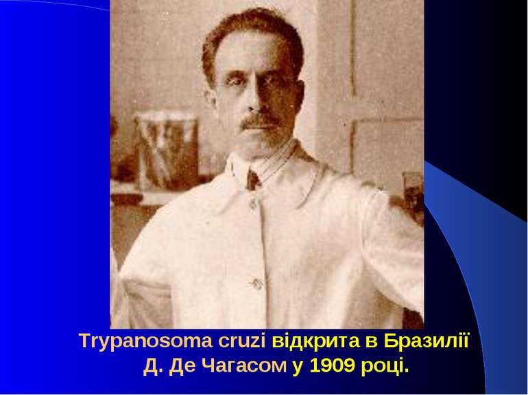 Trypanosoma cruzi відкрита в Бразилії Д. Де Чагасом у 1909 році.