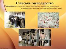 Сільське господарство Тваринництво – молочно-м'ясне скотарство, свинарство (п...