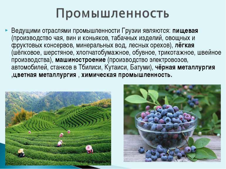 Ведущими отраслями промышленности Грузии являются: пищевая (производство чая,...