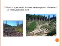 Один із прикладів впливу господарської діяльності - це є вирубування лісів