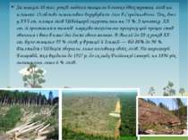 За минулі 10 тис. років людина знищила близько двох третин лісів на планеті. ...