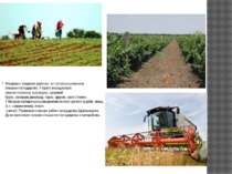 Молдова є аграрною країною, тут непогано розвинене сільське господарство. У к...