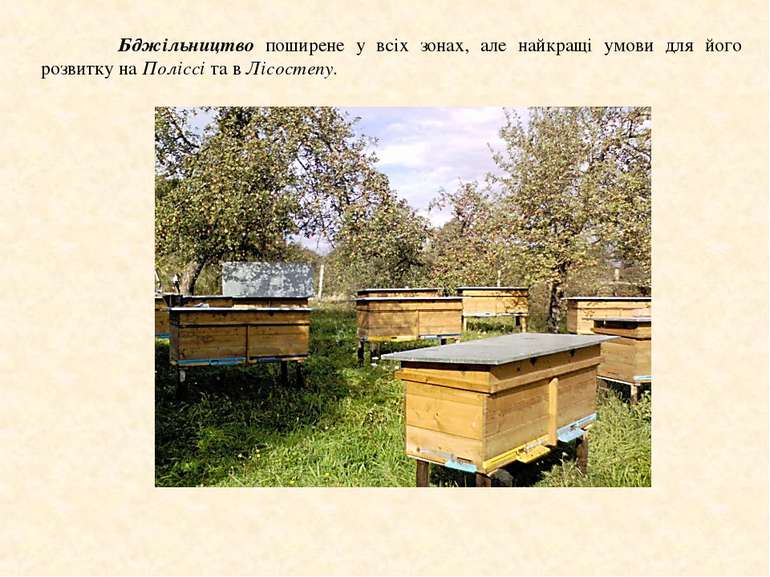 Бджільництво поширене у всіх зонах, але найкращі умови для його розвитку на П...