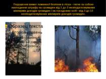 Порушення вимог пожежної безпеки в лісах - тягне за собою накладення штрафу н...