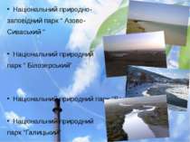 Національний природно- заповідний парк “ Азово- Сиваський “ Національний прир...