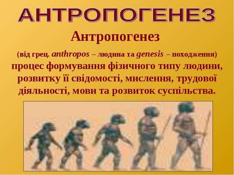 Антропогенез (від грец. аnthropos – людина та genesis – походження) процес фо...