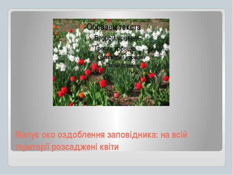 Милує око оздоблення заповідника: на всій території розсаджені квіти