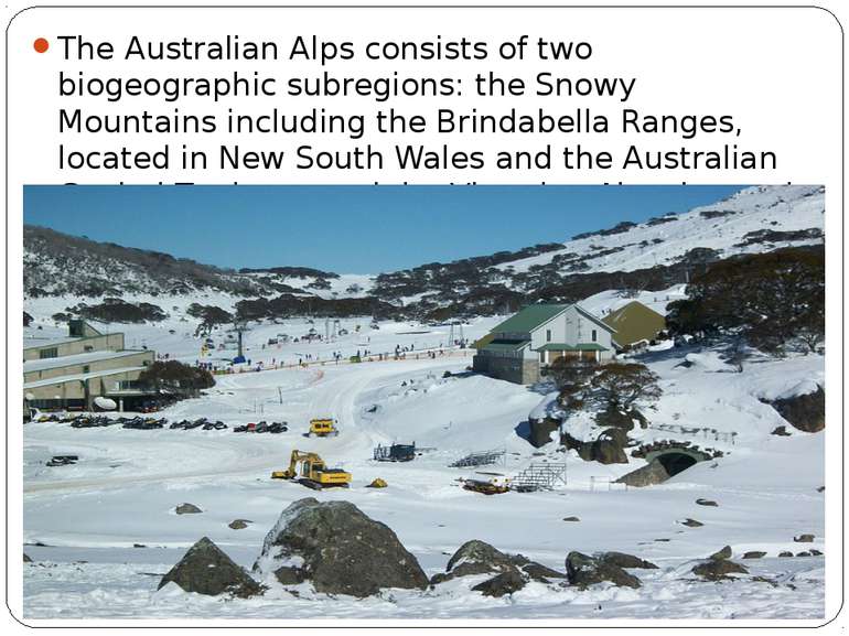 The Australian Alps consists of two biogeographic subregions: the Snowy Mount...