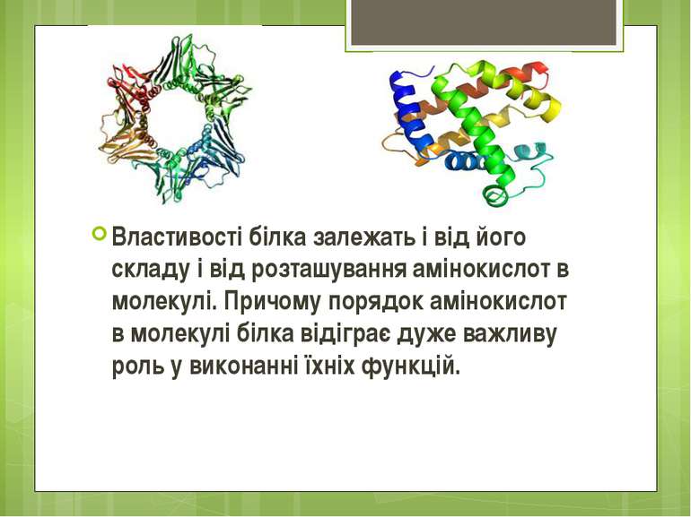 Властивості білка залежать і від його складу і від розташування амінокислот в...