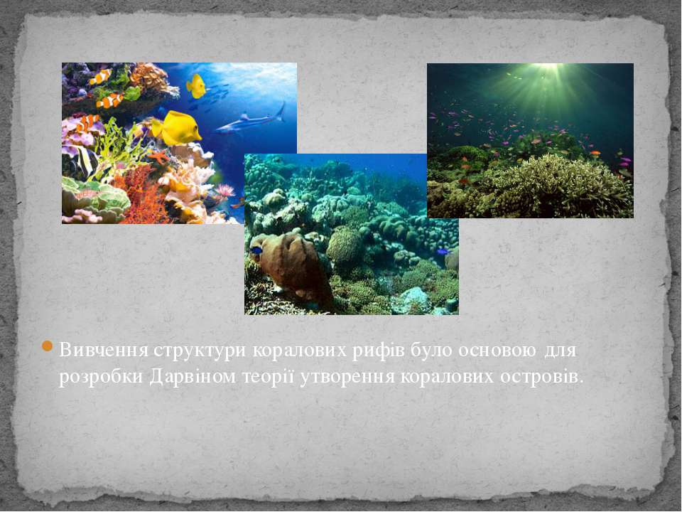 Какие организмы живут в аквариуме биология 5. Биогеоценоз Барьерный риф. Прибрежные морские экосистемы. Многообразие водных биогеоценозов. Разнообразие водных экосистем.
