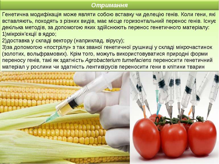 Генетична модифікація може являти собою вставку чи делецію генів. Коли гени, ...