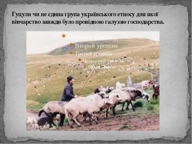 Гуцули чи не єдина група українського етносу для якої вівчарство завжди було ...