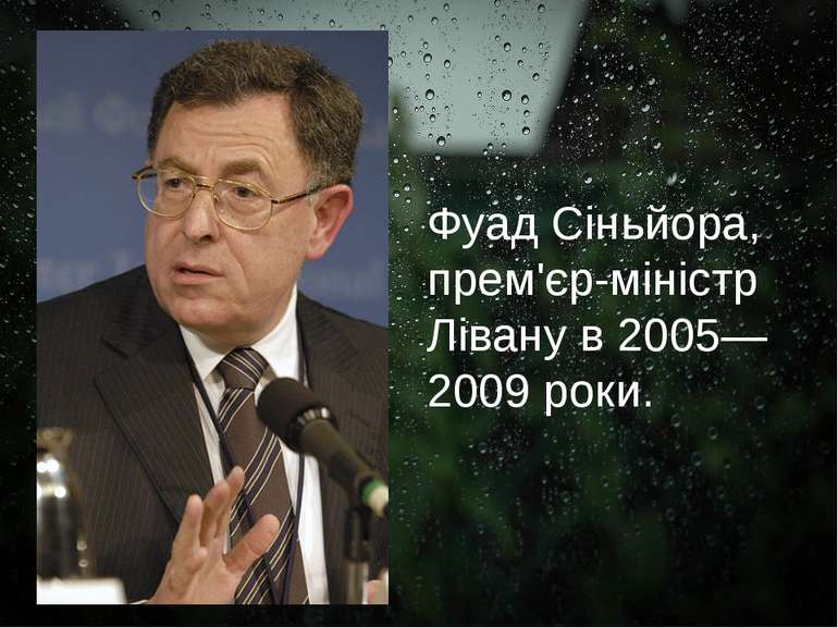 Фуад Сіньйора, прем'єр-міністр Лівану в 2005—2009 роки.