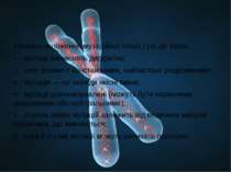 Основні положення мутаційної теорії Гуго де Фріза: • мутації виникають дискре...
