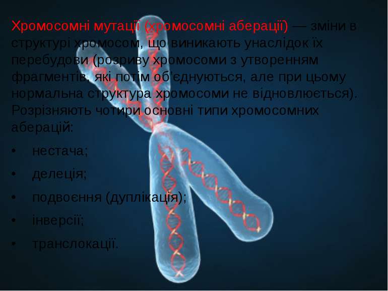 Хромосомні мутації (хромосомні аберації) — зміни в структурі хромосом, що вин...