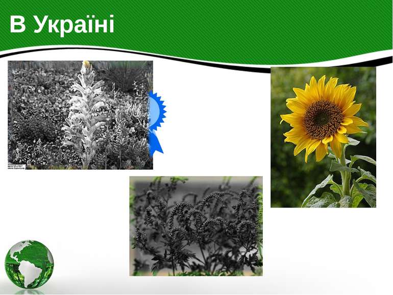В Україні В Україні біологічний захист рослин застосовується проти паразитичн...