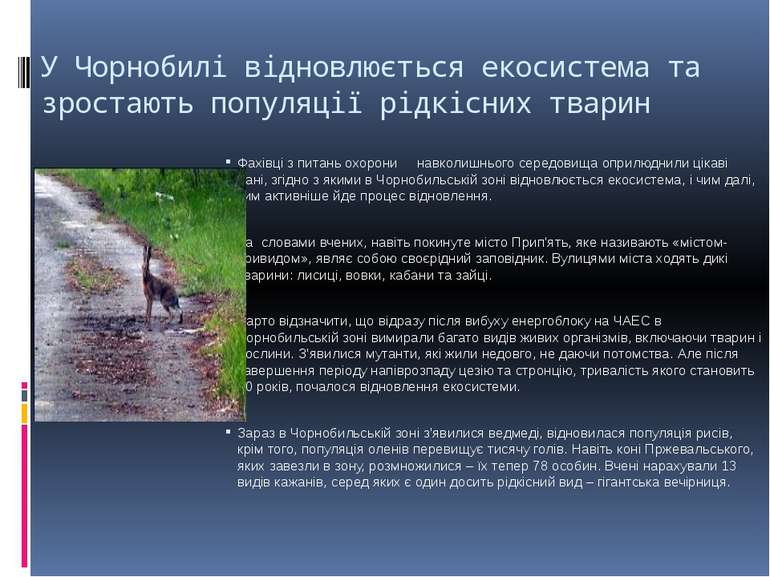 У Чорнобилі відновлюється екосистема та зростають популяції рідкісних тварин ...