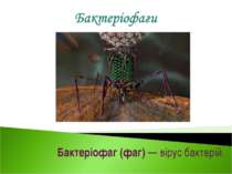 Бактеріофаг (фаг) — вірус бактерій.