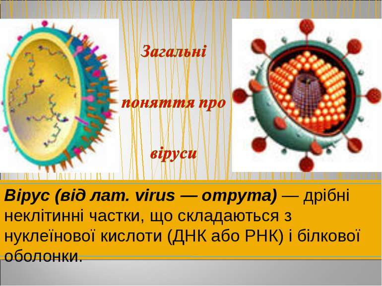 Вірус (від лат. virus — отрута) — дрібні неклітинні частки, що складаються з ...