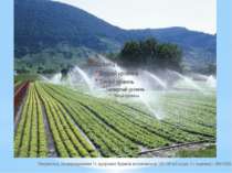 Наприклад, на вирощування 1т. цукрових буряків витрачається 130-160 м3 води, ...