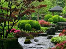 Японський ландшафтний сад